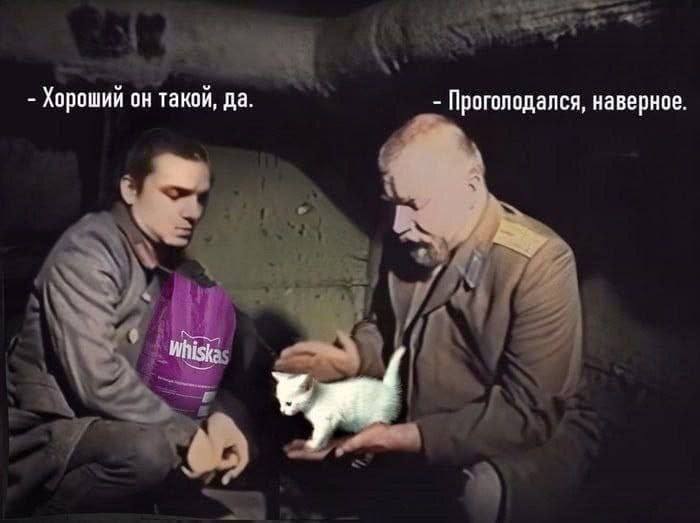 Мем